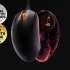 Мышь SteelSeries Prime, игровая, оптическая, проводная, USB, черный [62533]